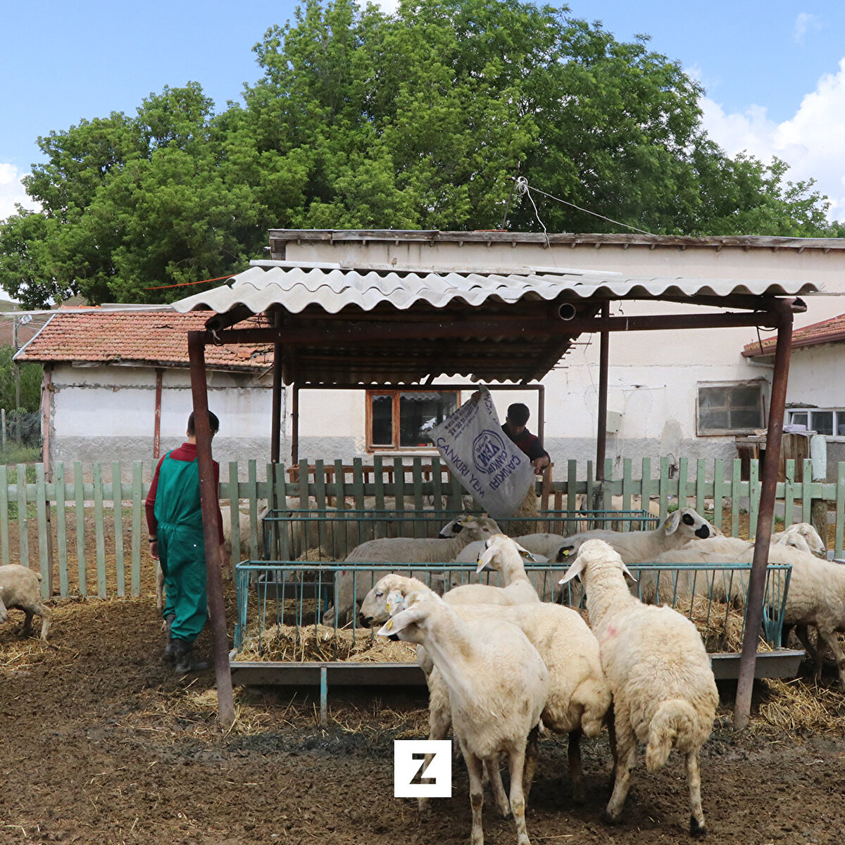 Kırkevler Mahallesi'nde 260 dekar araziye kurulu olan ve 150 öğrencinin eğitim gördüğü okulda, dönem boyunca tarım ve hayvancılık alanında çalışmalar yürütülüyor.