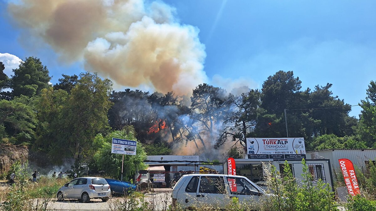 Rüzgarın da etkisiyle kısa sürede yayılan alevlere, bölgeye sevk edilen orman ve itfaiye ekiplerince kontrol altına alındı.<br><br>