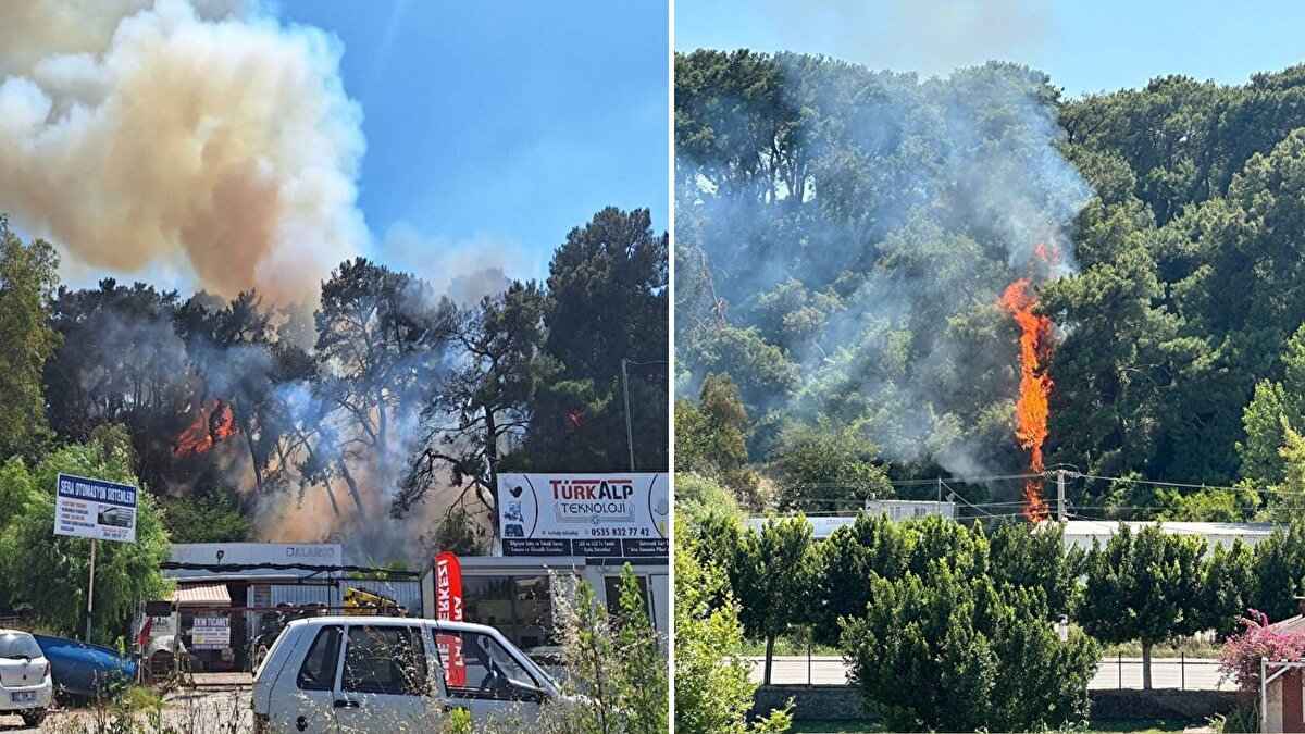 Çalkaya Mahallesi'nde ormanlık alanda henüz belirlenemeyen nedenle yangın çıktı. <br><br>