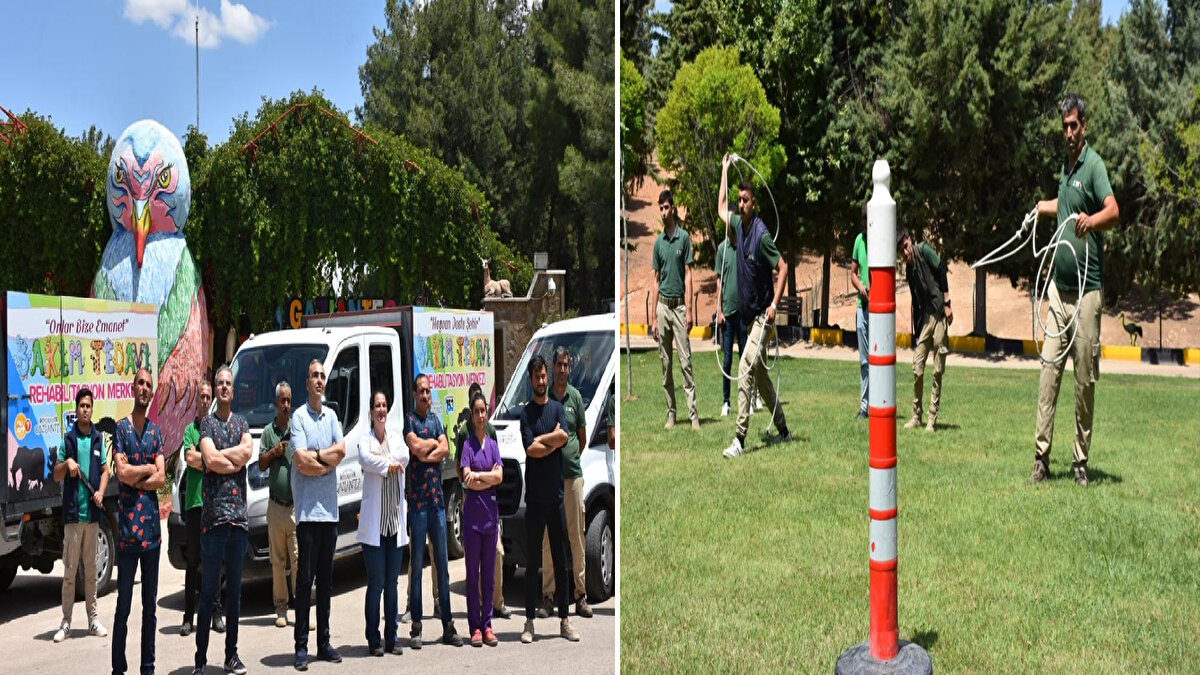 Aralarında veteriner hekimin de bulunduğu 20 kişilik tim, yaklaşık 20 gündür Gaziantep Hayvanat Bahçesinde uyuşturucu iğne atan tüfek ve kementle antrenman yaparak, bayram süresince kaçabilecek kurbanlıklar için göreve hazır hale getirildi.