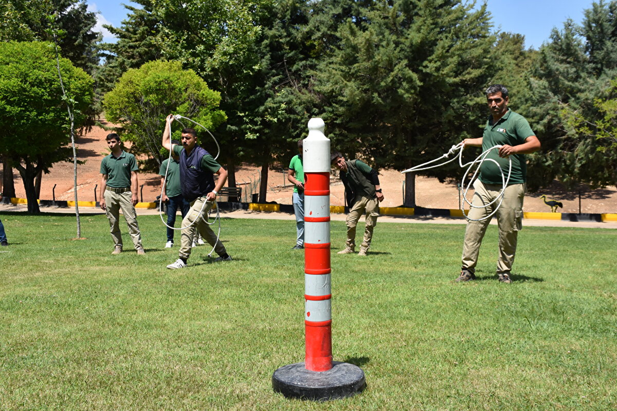 Büyükşehir Belediyesi Doğal Hayatı Koruma Daire Başkanı Celal Özsöyler, her yıl olduğu gibi bu yıl da kaçan danaları yakalamak için tim oluşturduklarını söyledi.