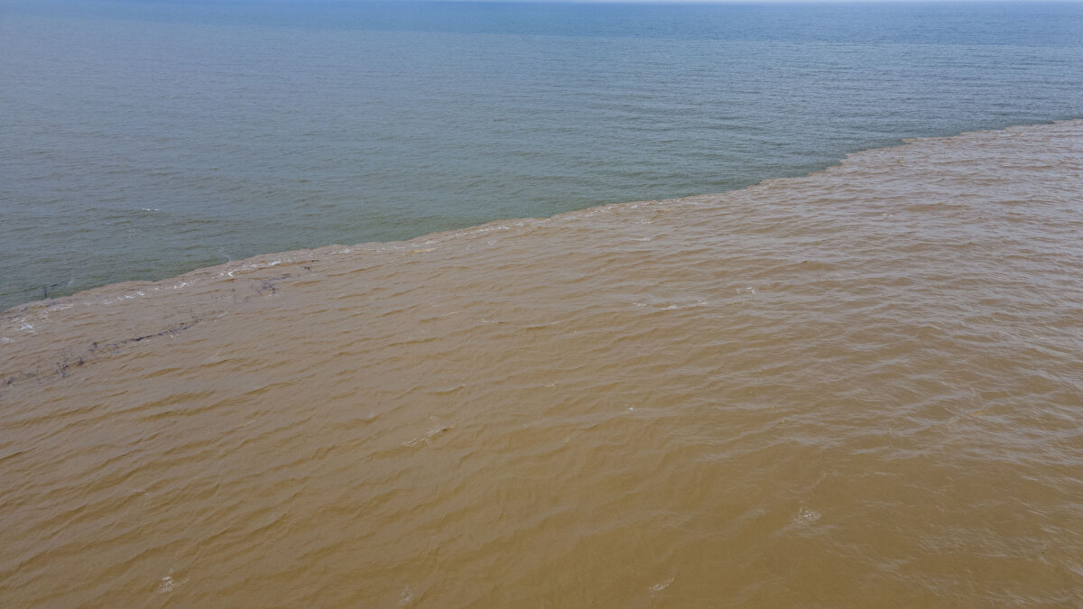 16 kilometrelik sahil şeridinde suyun rengi kahverengiye dönerken çok sayıda plastik şişe, kaya, ağaç ve odun parçaları ile tıbbi atıklar yer yer plajda kirlilik oluşturdu.<br>