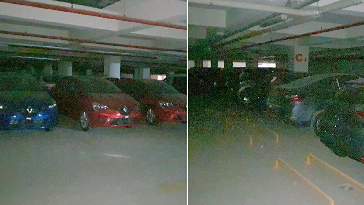 Ne zaman ve kim tarafından park edildiği bilinmeyen otomobillerin stokçular tarafından konulduğu iddia edilirken, telefonla ulaşılan otopark yetkilisi, ilk önce otoparkta böyle araçların olmadığını, fotoğraf ve görüntülerinin olduğunun belirtilmesi üzerine ise araçların kiralama şirketlerine ait olduğunu ve plakaları takıldıktan sonra kiraya verildiğini söyledi.