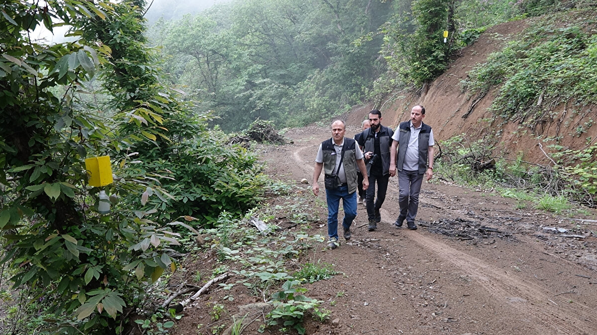 Gal arısının yumurtalarını yiyen faydalı böcekli mücadelenin yanı sıra, Bursa Orman Bölge Müdürlüğü ve Bursa Üniversitesi’nce feromon tuzaklı biyoteknik mücadele yöntemi geliştirildi.<br>