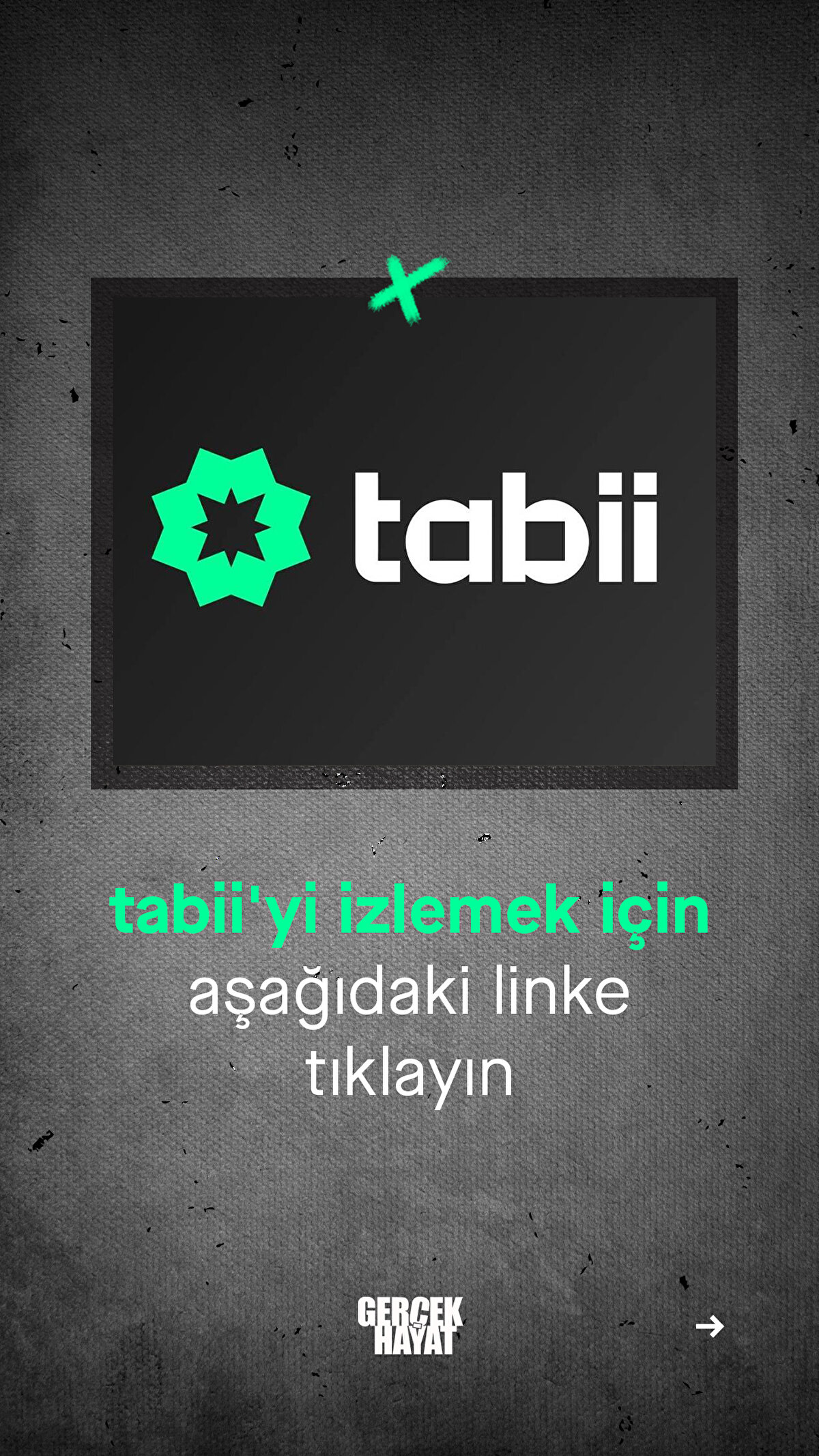 tabii'yi çocuklarınızla beraber izlemenizi tavsiye ederiz