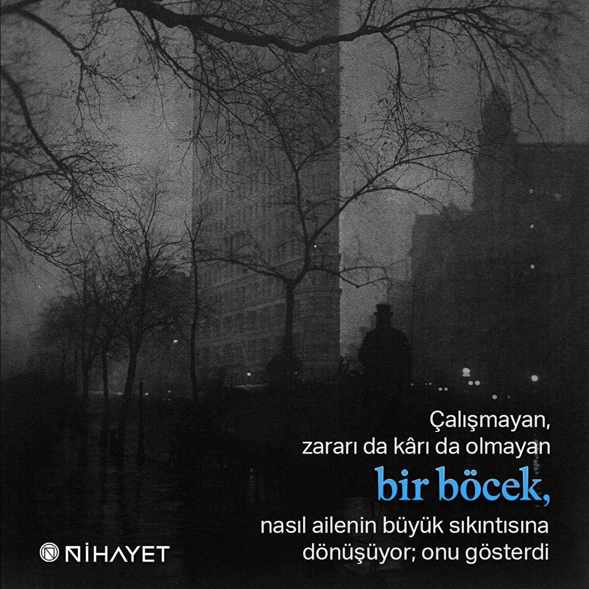 Çalışmayan, zararı da kârı da olmayan bir böcek, nasıl ailenin büyük sıkıntısına dönüşüyor; onu gösterdi