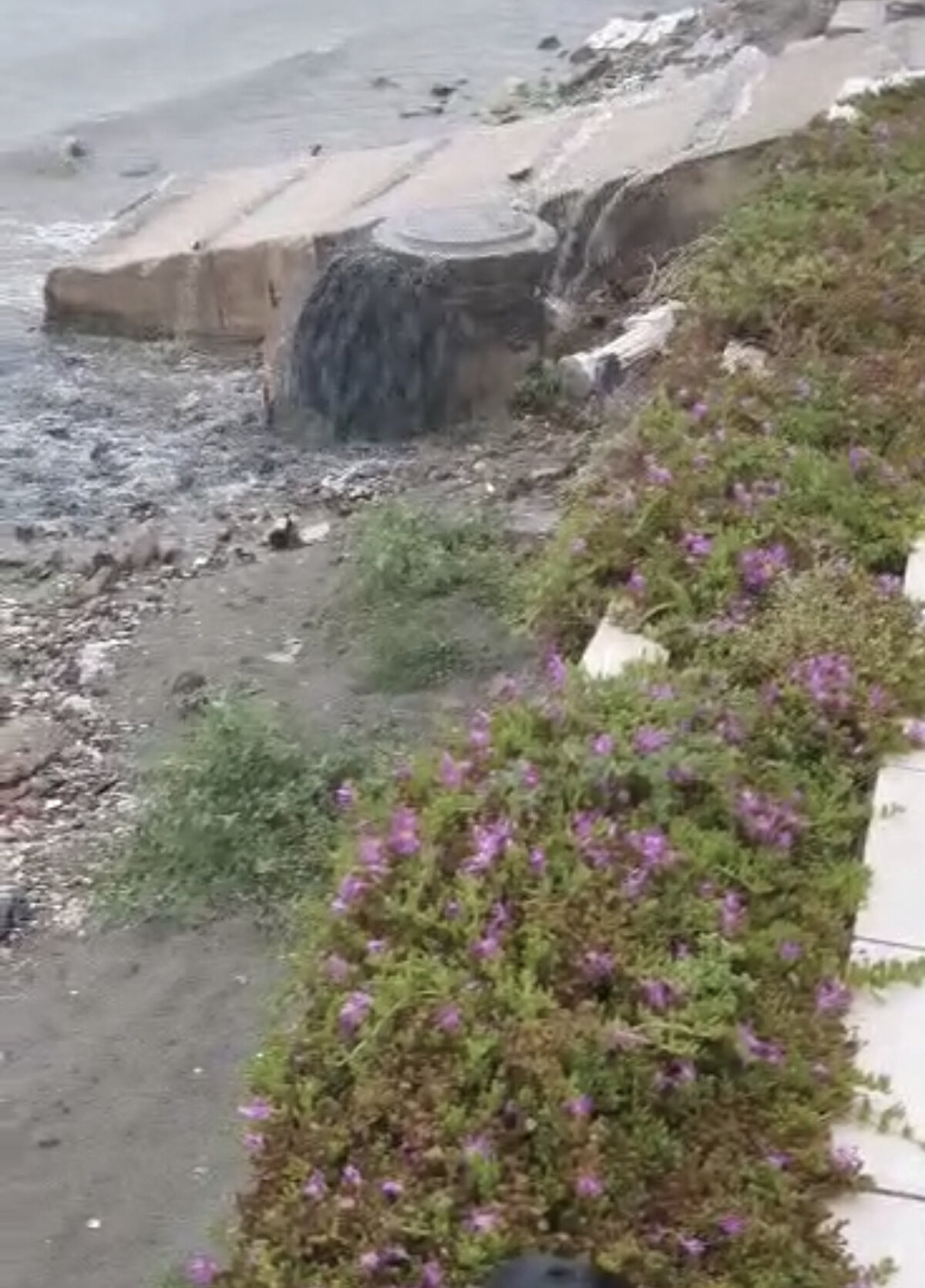 Mahalle sakinlerinden Feyzullah Coşkun, sorunun kalıcı olarak çözülmediğini vurgulayarak, "İSKİ'den ekipler geldi, Gözleriyle de görüyorlar dışarıya pislik çıktığını. Suyu çekiyorlar, 'Sonra iş bitti' diyorlar. Öyle olmuyor, buranın durumunu bir an evvel çözsünler. Millet bu pislikten kurtulsun. Ufak bir yağmur ile rögarın bu hale gelmesi söz konusu değil. Şu an burada yüzülmez çünkü bu kadar insan bu yüzden hastalanıyor belki. Pislik dışarı doğru akıyor" diye konuştu.