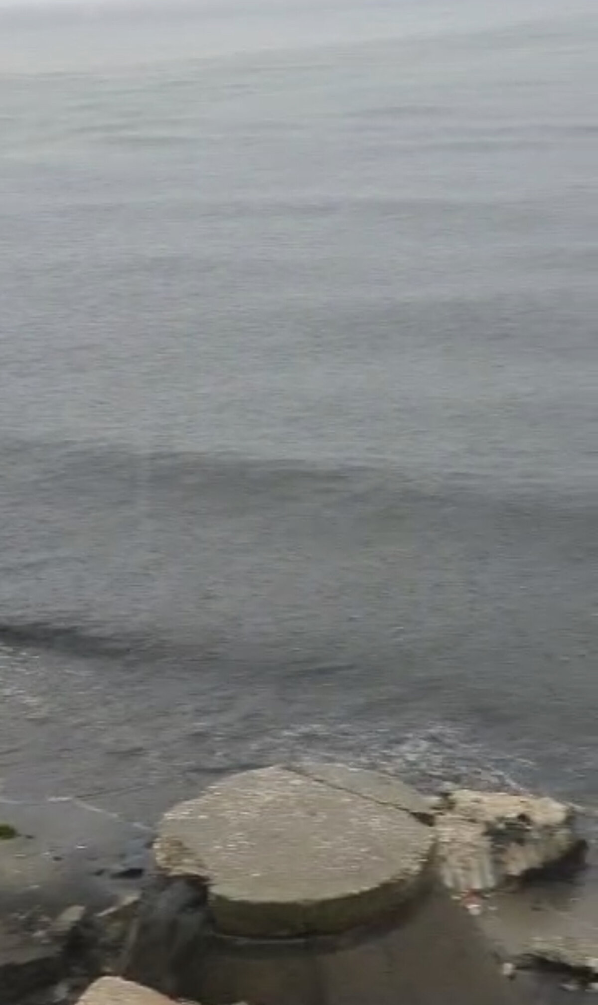 Tamer Gençdoğan, "Ben buranın plastik borulardan kurtarılıp beton yapılmasını istiyorum. Koku, pislik, hastalık her şey var. Tertemiz bir denizimiz vardı, mahvoldu gitti" dedi. 