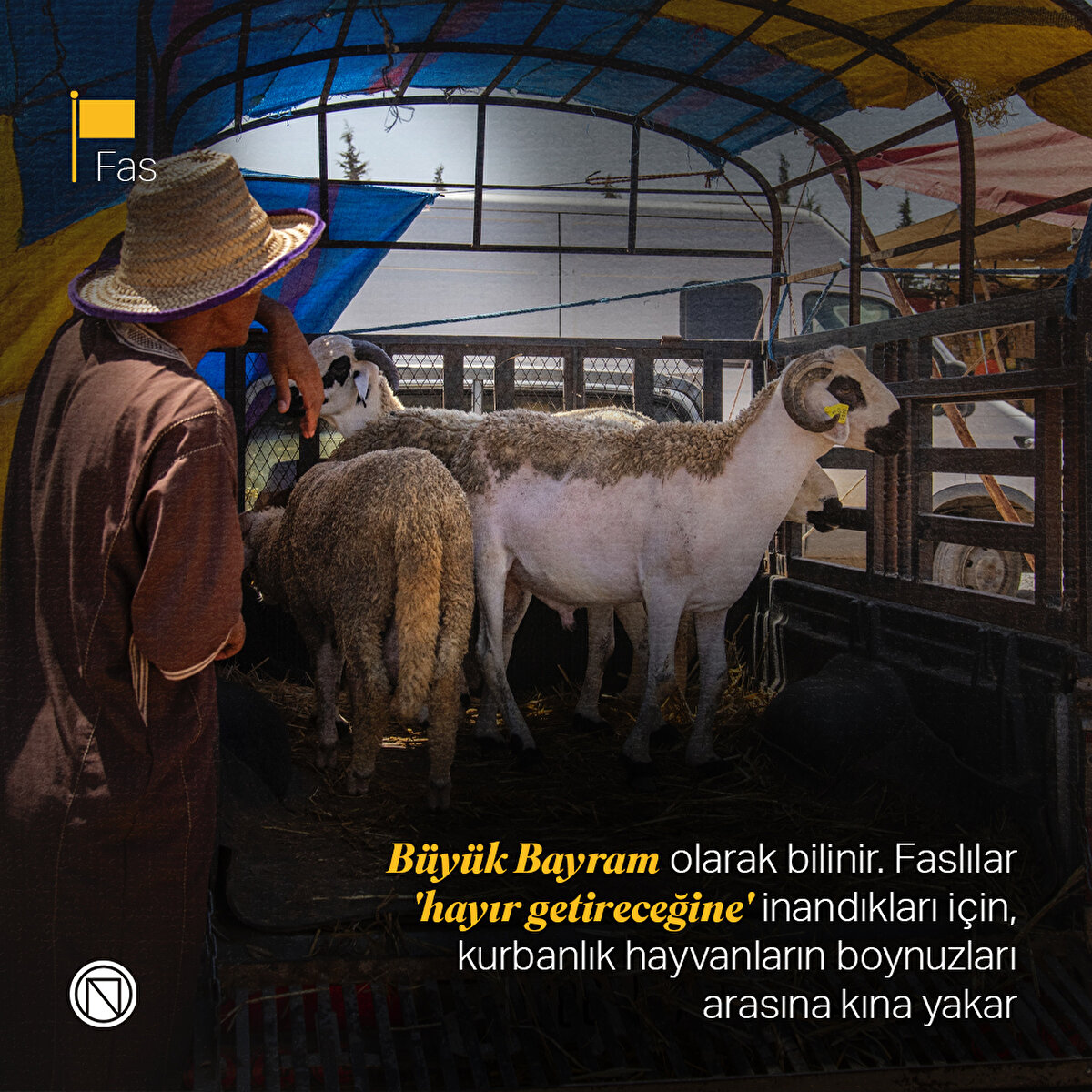 Fas

Büyük Bayram olarak bilinir. Faslılar 'hayır getireceğine' inandıkları için, kurbanlık hayvanların boynuzları arasına kına yakar