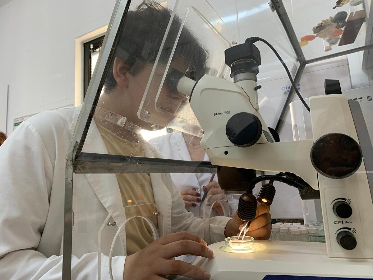 Öğrencilerin proje danışmanı Kimya Öğretmeni Kadriye Dinç, "Belirlediğimiz lokasyonlar gerçekten insan elinin değmediği bölgelerdi. Örnekleri büyük hassasiyetle almamıza rağmen karşılaştığımız bu sonuç, şehir merkezindeki tehlikenin çok daha büyük olduğunu gözler önüne seriyor. Eğer bunlara tedbir alınmazsa ileride bizi tehdit edeceğini, nesillerden nesillere aktaracağımız gen mutasyonlarına sebep olabileceğini düşünüyorum" dedi. <br><br>