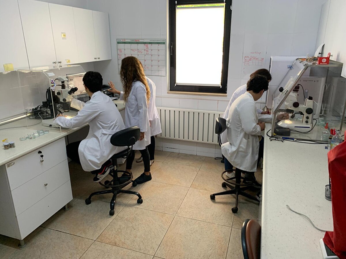 Rize Türkiye Odalar ve Borsalar Birliği (TOBB) Fen Lisesi 11´nci sınıf öğrencileri Alperen Açıkmeşe ve Eyüphan Albayrak, `Ulusal Kutup Bilim Seferi´ne katılan RTEÜ´deki bilim insanlarına esinlenerek mikroplastikler kirliliğini araştırmaya başladı. Öğrenciler, kentte deniz seviyesinden 1500 ile 2 bin 500 metre yükseklikteki Handüzü, Elevit, Tulumpınar, Ovit ve Çağrankaya yaylalarından geçen yıl aralıkta yeni yağan kardan numune aldı. Öğrenciler, ayak basılmamış temiz kar örneklerini RTEÜ Su Ürünleri Fakültesi´ndeki laboratuvarda mercek altına alıp, inceledi. İncelemelerde yağan karda 5 milimetreden küçük mikroplastik parçası tespit edildi.<br><br>