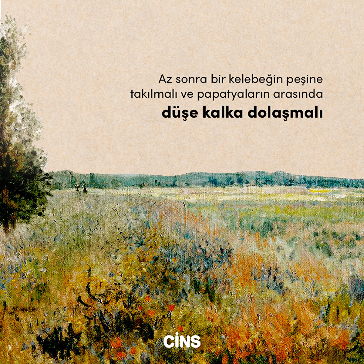 Az sonra bir kelebeğin peşine takılmalı ve papatyaların arasında düşe kalka dolaşmalı