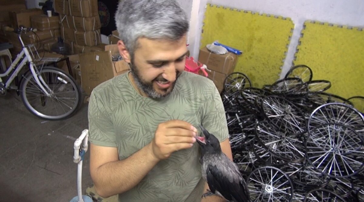 Kral ismini verdiği kargayı kırmızı et ve tavuk etiyle besleyen Varol, omzuna aldığı Kral'la sokaklarda gezmeyi de ihmal etmiyor.