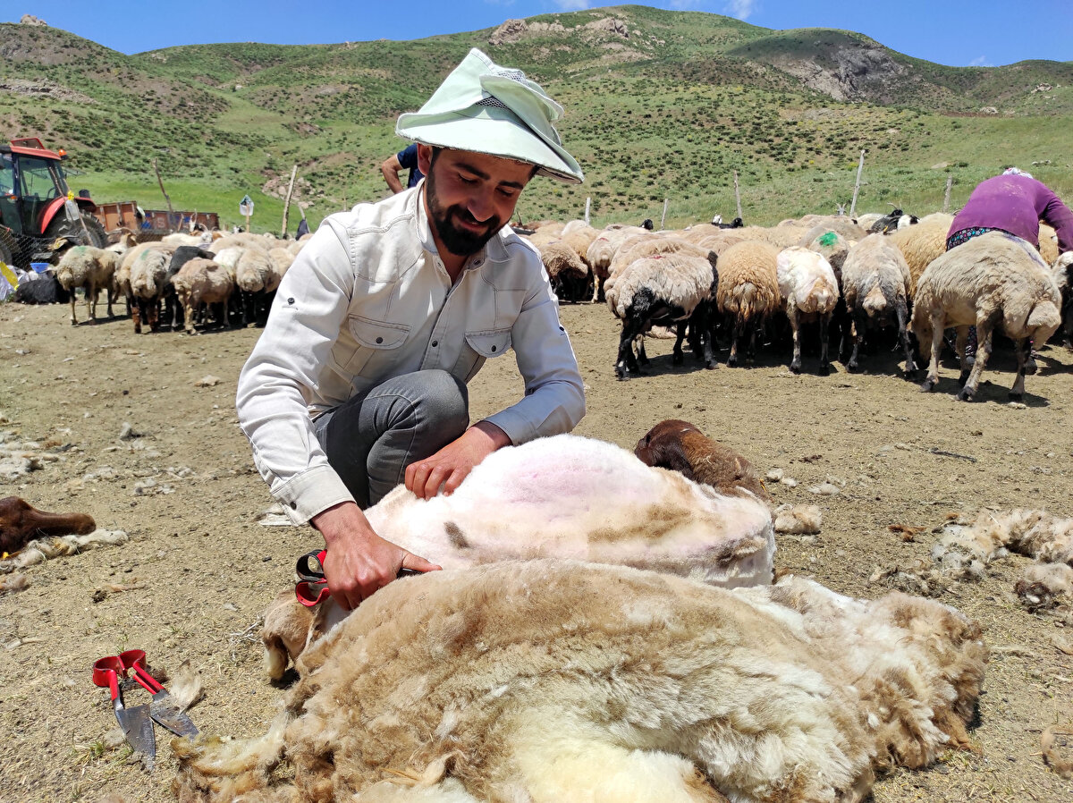 Aylık 20 bin TL ücret verip, yemek masraflarını karşılayan besicilerin teklifine olumlu yanıt veren İranlı Ali Ahmedi, Boybeyi köyünde çobanlık yapıyor.