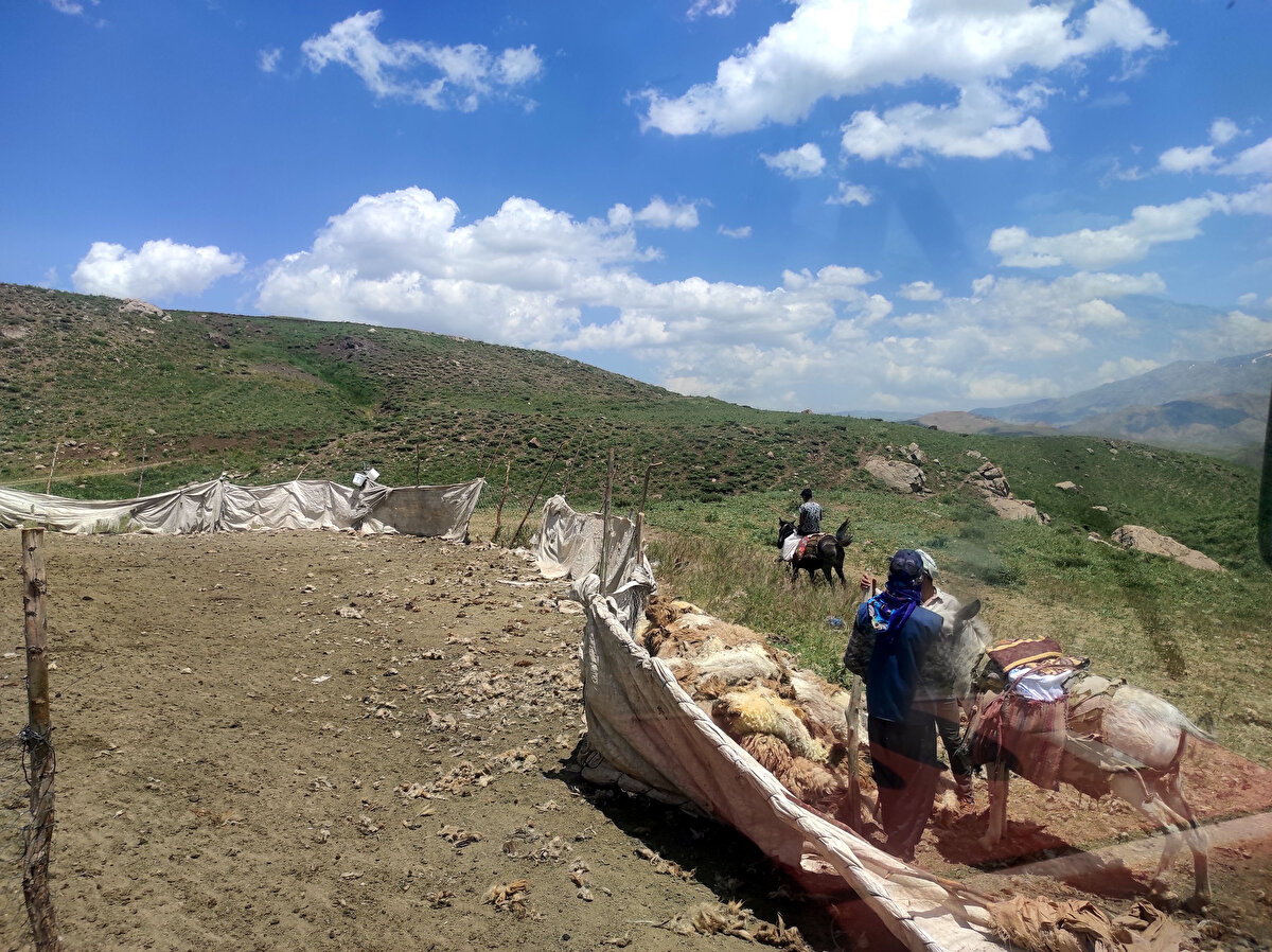 Çözüm için harekete geçen besiciler, komşu İran'dan çoban getirmeye başladı.