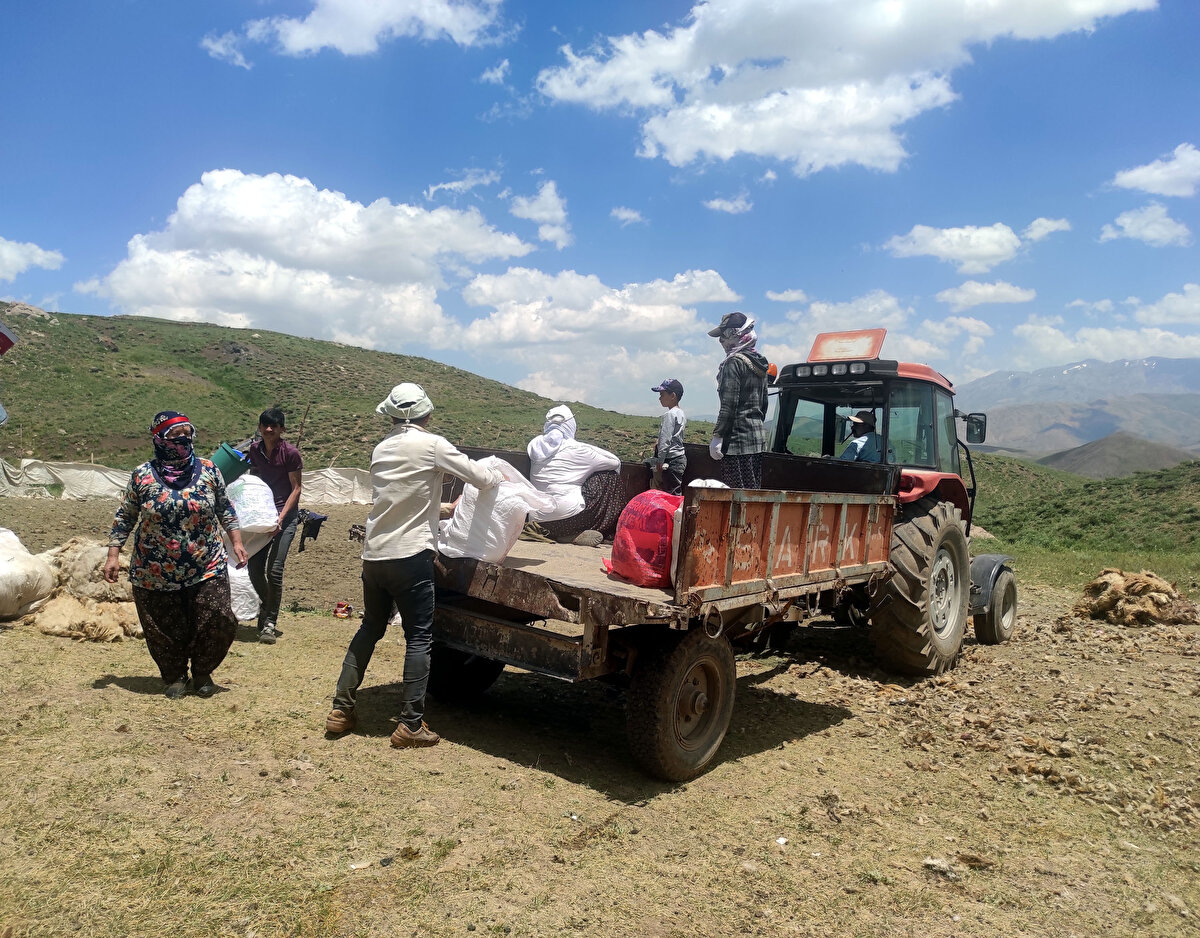 4 ay boyunca Hakkari'de çobanlık yapacağını belirten Ali Ahmedi, "700 küçükbaş hayvan sürüsüne bakıyorum. Türkçe bilmediğim için yöre insanı ile Kürtçe diyalog kurabiliyorum. Ailemin ihtiyaçlarını bu şekilde karşılıyorum. Aylık 20 bin TL ücret alıyorum. Çobanlık zor bir meslek ama mecbur çalışıyoruz. Yaylaya süt sağmaya gelen kadınlara da zaman zaman yardımcı oluyorum" dedi.