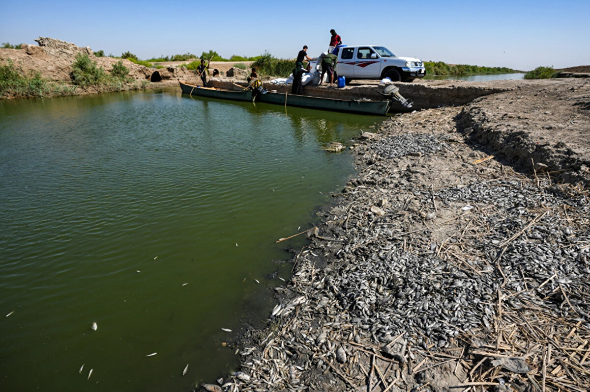 Yüksek tuzluluk seviyeleri, önemli hasara neden olmak için yeterli bir sebep iken daha fazla hayvanın ölmesi de daha fazla su ve toprak kirliliği anlamına gelmektedir.