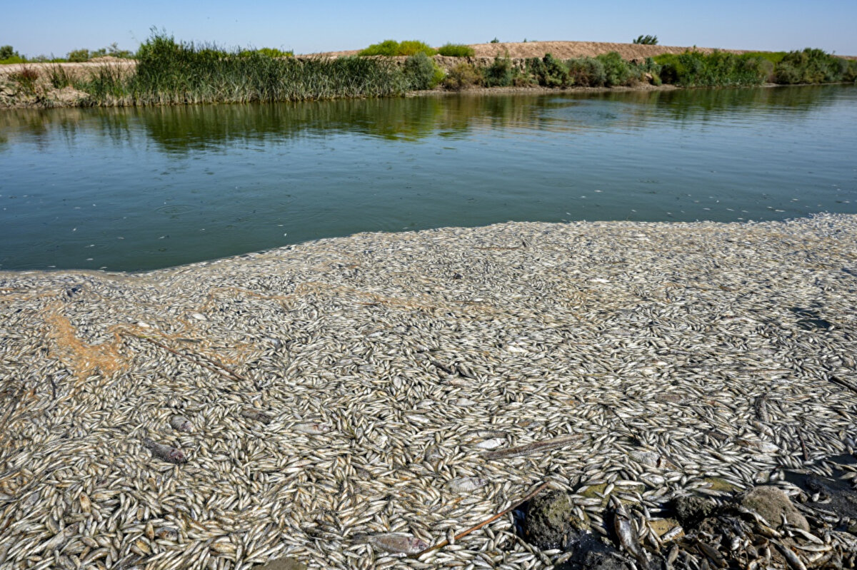 Irak kavurucu yaz sıcağı ve sık sık toz fırtınalarıyla mücadele ediyor.
