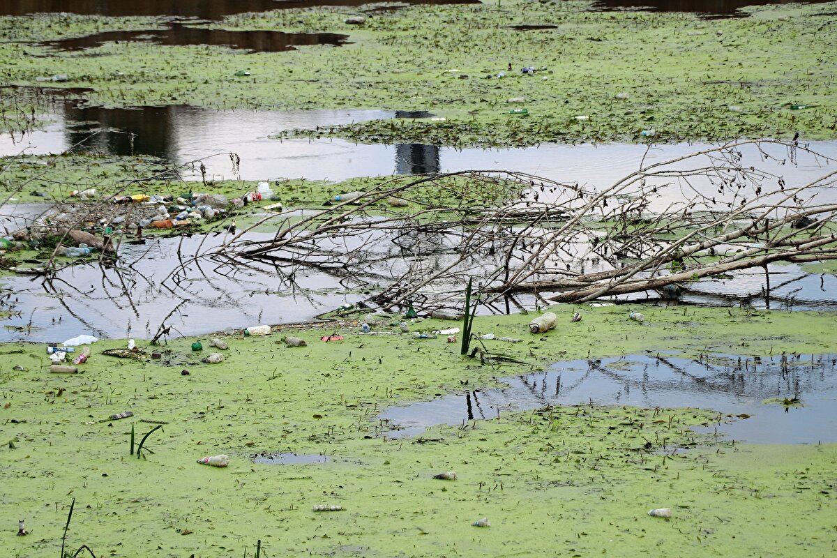 Karaağaç Mahallesi Muhtarı Agah Korkan, nehrin kirletilmesinden üzüntü duyduğunu söyledi.<br>