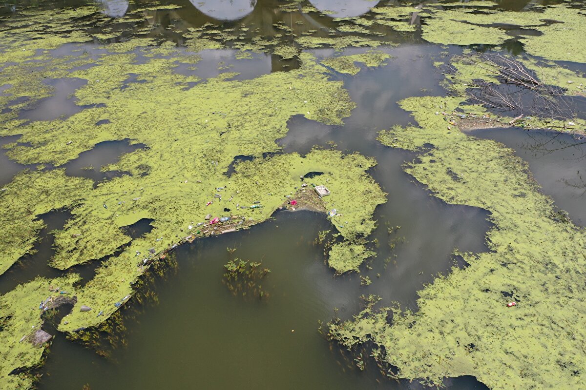 Kent sakinleri, Tunca'yı kirletenlere tepki göstererek çöplerin temizlenmesini istedi.<br>