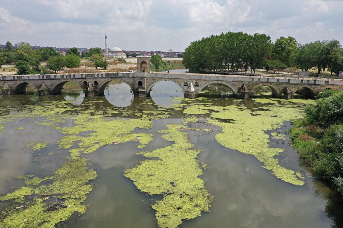 Doğanın ve çevrenin temiz tutulması gerektiğini ifade eden Korkan, şunları kaydetti: "Çok üzücü bir olay. Vatandaşlardan rica ediyoruz. Lütfen yerlere çöp atmasınlar. Bu doğa bizim. Bu bölge sorumluluk bölgem olduğu için geziyorum. Her yere plastik poşetler, şişeler atılmış durumda. Bu memleket bizim. Sorumlu kişiler de lütfen görevini yapsın ve buraları temizlesin."<br>