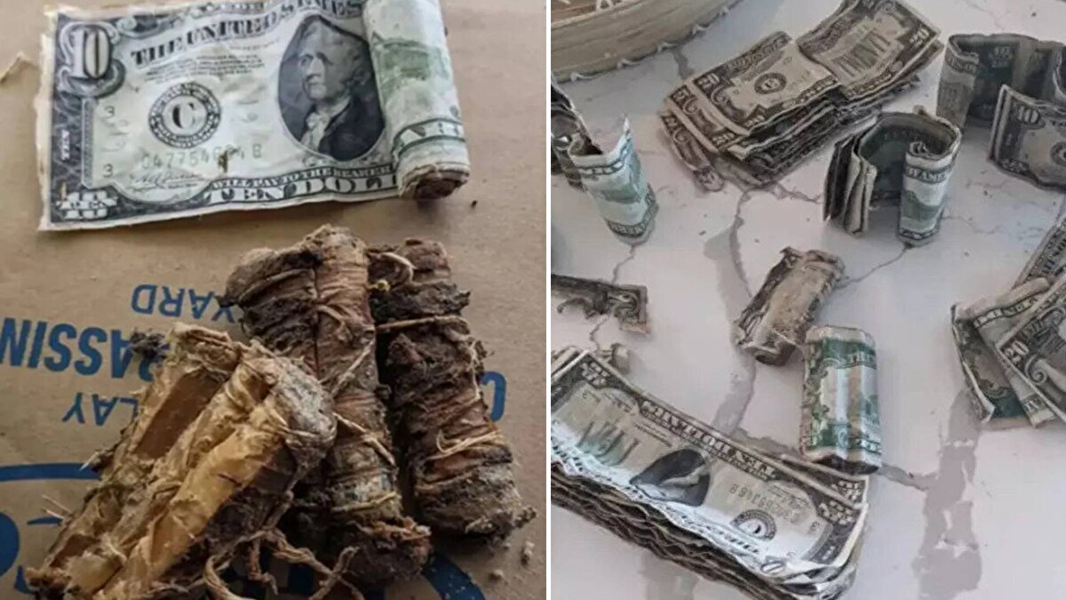 Amerika Birleşik Devletleri’nin New Jersey eyaletinde Suzanne ve Richard Gilson çifti satın aldıklarından beri yaklaşık 4 yıldır evlerini yeniliyor. Son olarak bahçe işlerini yapmaya başladıklarını ifade eden çift 1920’li yıllarında yapılan evlerinin eski sahibinin kendilerine çok şaşırtan bir sürprize imza attığını açıkladı.