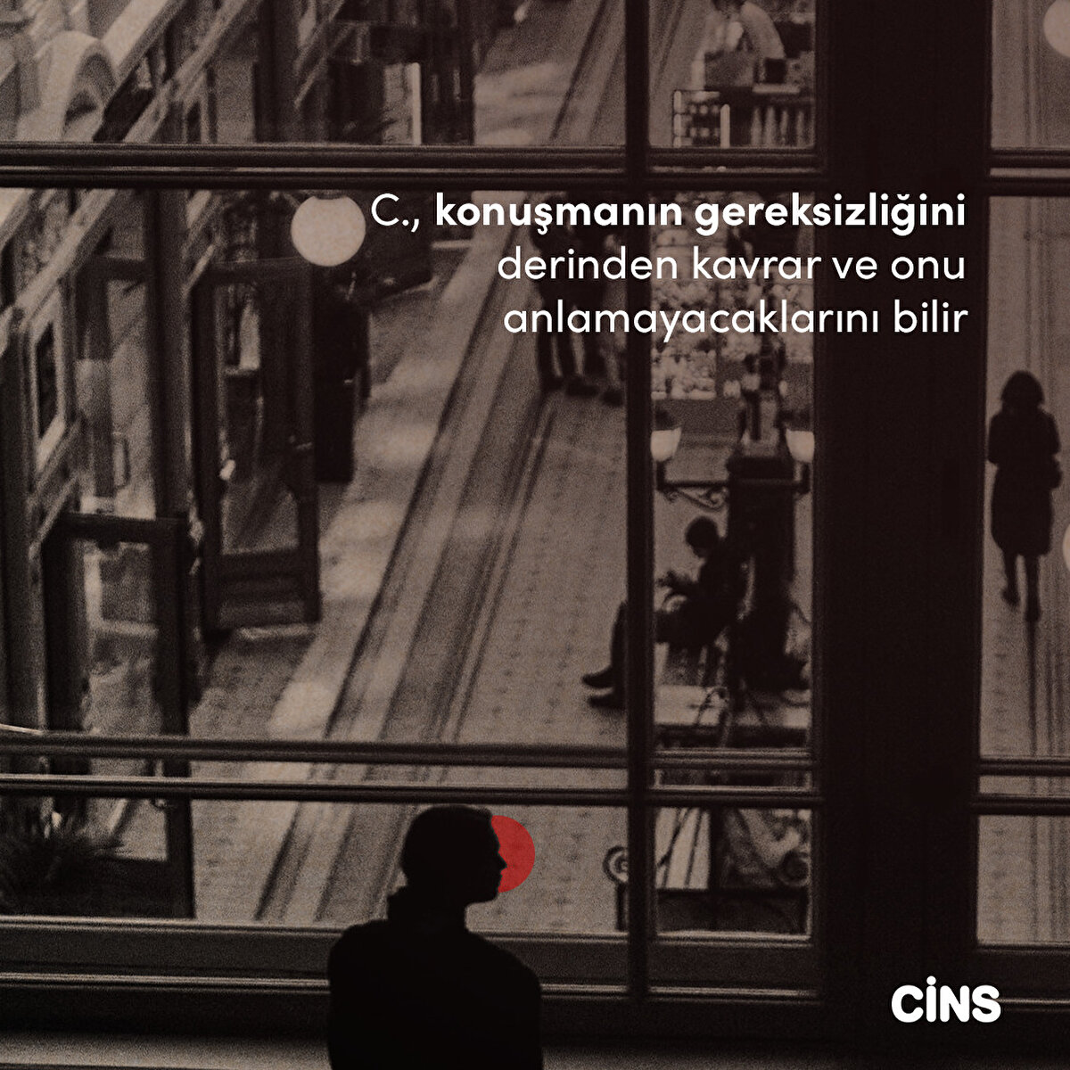 C., konuşmanın gereksizliğini derinden kavrar ve onu anlamayacaklarını bilir