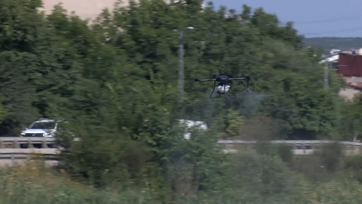 Çocuklarının vücudundaki sinek yaralarını gösteren Melek Can, "Çocuklarımızı ısırdıkları zaman şişme ve kızarıklık oluyor vücutlarında. Çok şikayetçiyiz. Haftada bir kere ya geliyor ya gelmiyor sinek ilacı. İlaçlamanın artmasını istiyoruz." diye konuştu.<br><br>Sineklerin vücudunda yaralara yol açtığı çocuklardan E.Y, geceleri sivrisineklerden dolayı uyuyamadıklarını söyledi.<br><br>Sıcak hava nedeniyle camları açtıklarını dile getiren E.Y, "Sivrisinekler kollarımızı, her yerimizi ısırıyor. Kaşıdığımız zaman yaralar çok büyüyor. Akşamları kapıda oturduğumuz zaman ateş yakmak zorunda kalıyoruz. Koku yapsın, sinekler gitsin diye." şeklinde konuştu.