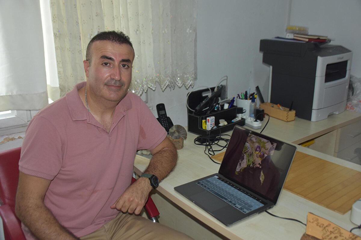 Bunun üzerine Sonay örneği, bitkiseverlerin yer aldığı bir sosyal medya grubunda paylaştı. Fotoğrafları gören Ege Üniversitesi Biyoloji Bölümü Öğretim Üyesi Prof. Dr. Hasan Yıldırım bu bitkinin yeni bir ters lale türü olabileceği konusunda Veysel Sonay'la irtibata geçti.