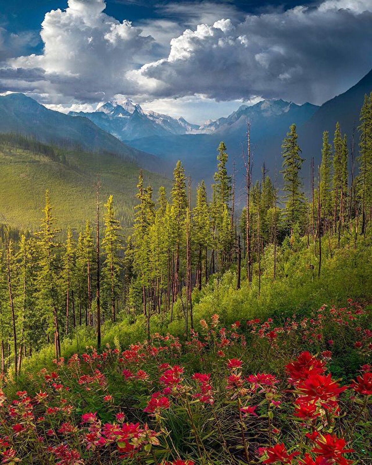 Parkın en bilinen ve sevilen yeri olan Going to The Sun Yolunda ise bisiklet sürmek, manzaranın tadını çıkarmak yapılacaklar listesinin ilk sıralarında yer alıyor.