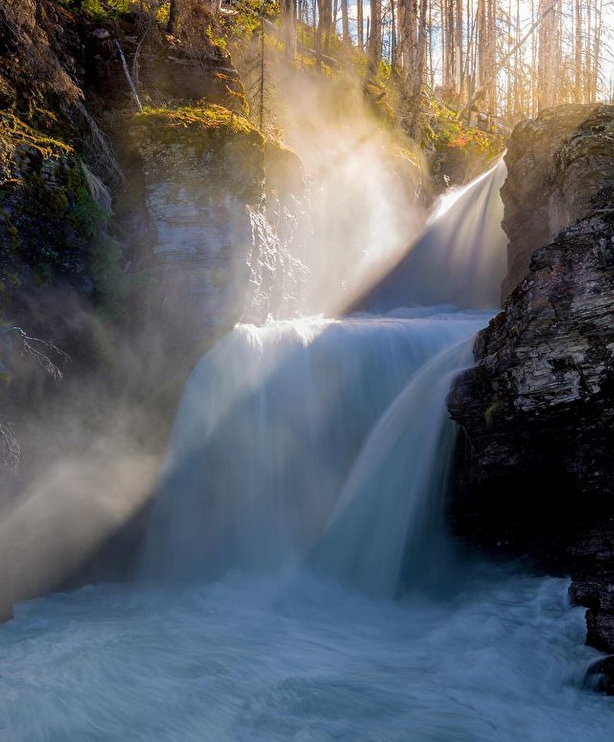 Bunun yanı sıra 1930’ların eski modellerinden kalma Kırmızı Otobüs Turları rehberler eşliğinde düzenleniyor.