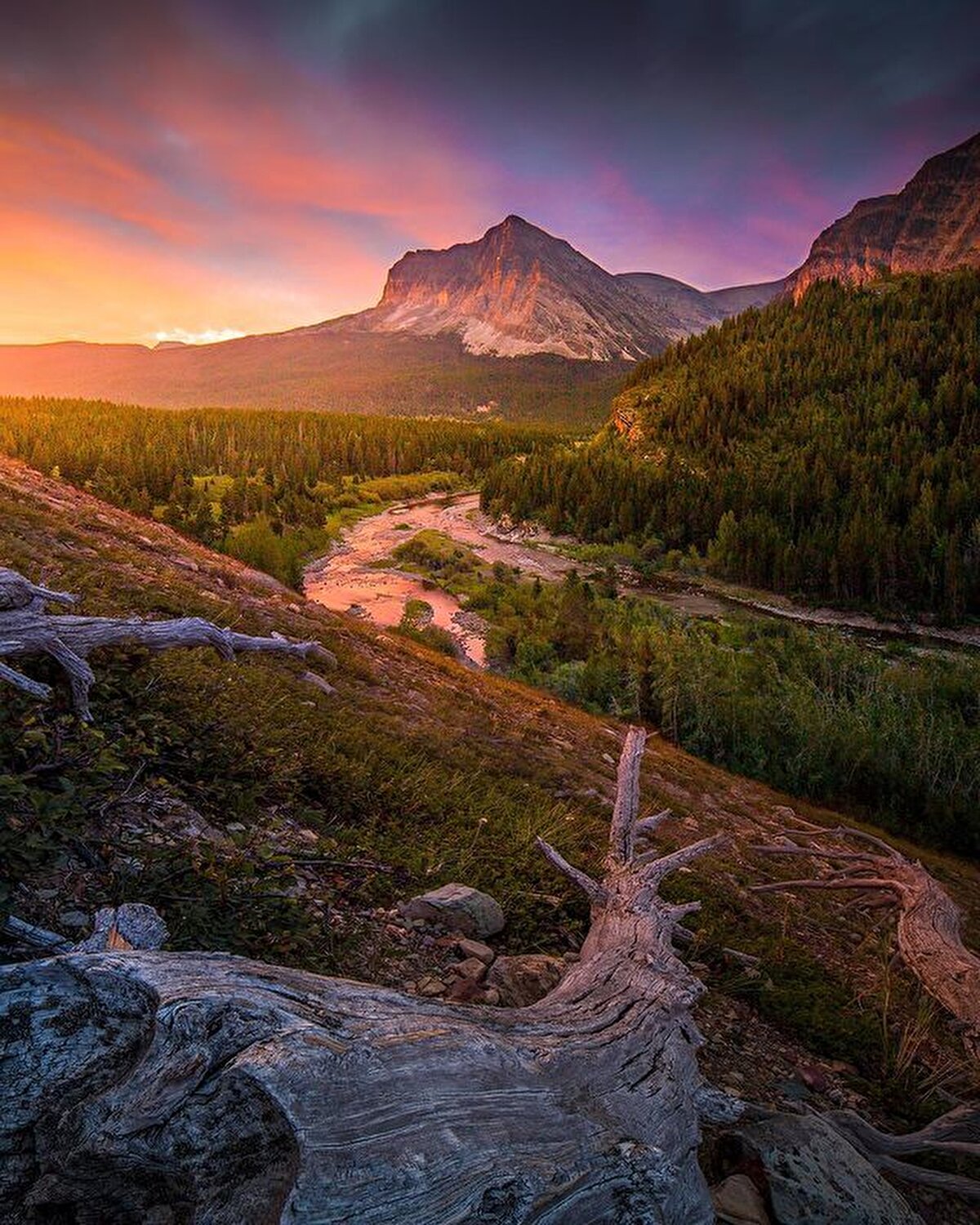 Parkta yapılacak aktiviteler arasında Logan geçidinden yıldızları izlemek, atla gezinti yapmak, McDonald Gölü ve St. Mary Gölünde tekne turu yapmak yer alıyor.