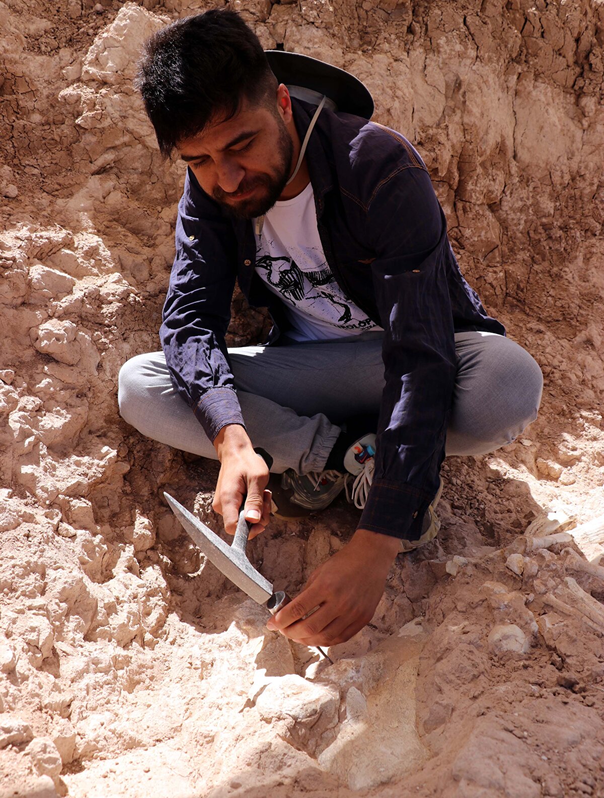 'BU SENE FOSİLLER ÜZERİNDE KESEK İŞLEMİMİZ VAR'<br>Kayseri'de gerçekleştirilen kazılar 10 kişilik ekibin görev yaptığını söyleyen Köylüoğlu, şöyle konuştu:<br>"Yaz aylarında, arazi açıldığında öğrenciler de eklenmekte. Geçmiş senelerden farklı olarak bu sene fosiller üzerinde kesek işlemimiz var. Şöyle ki; normalde fosiller ilk etapta açılıp numara verilip çıkartılmakta ama bu sene kesek halinde çıkarmayı hedefliyoruz. 'Kesek' dediğimiz yöntem, birçok fosilin iç içe geçip tek tek çıkaramayacağımız haldeki durumunda, hepsinin etrafını güzel bir şekilde açıp tüm şekilde almaktan oluşuyor. Fosillerin yoğun olduğu yerin etrafını açarak ve bu açtığımız bölge üzerinde, alçı ceket yöntemiyle bütün toprağı kaldırmakla beraber kesek işlemini yapmış bulunuyoruz."