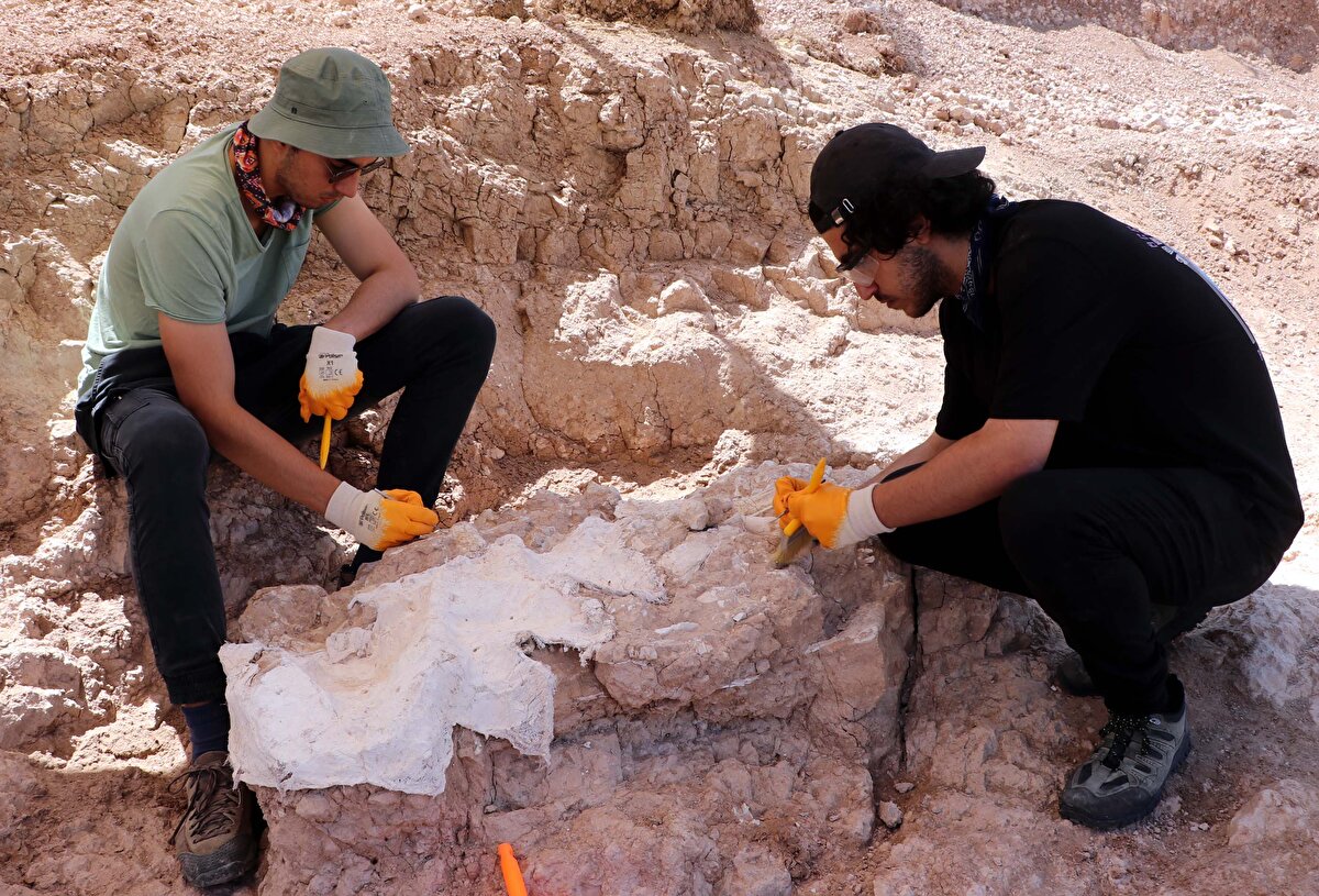 2018'de Kültür ve Turizm Bakanlığı Kültür Varlıkları ve Müzeler Genel Müdürlüğü'nün izni ile bölgede kazı çalışması başlatıldı.