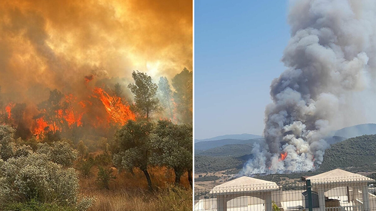 Milas'a bağlı Boğaziçi Mahallesi ile Bodrum Güvercinlik Mahallesi arasındaki otlukta saat 15.00 sıralarında yangın çıktı. 