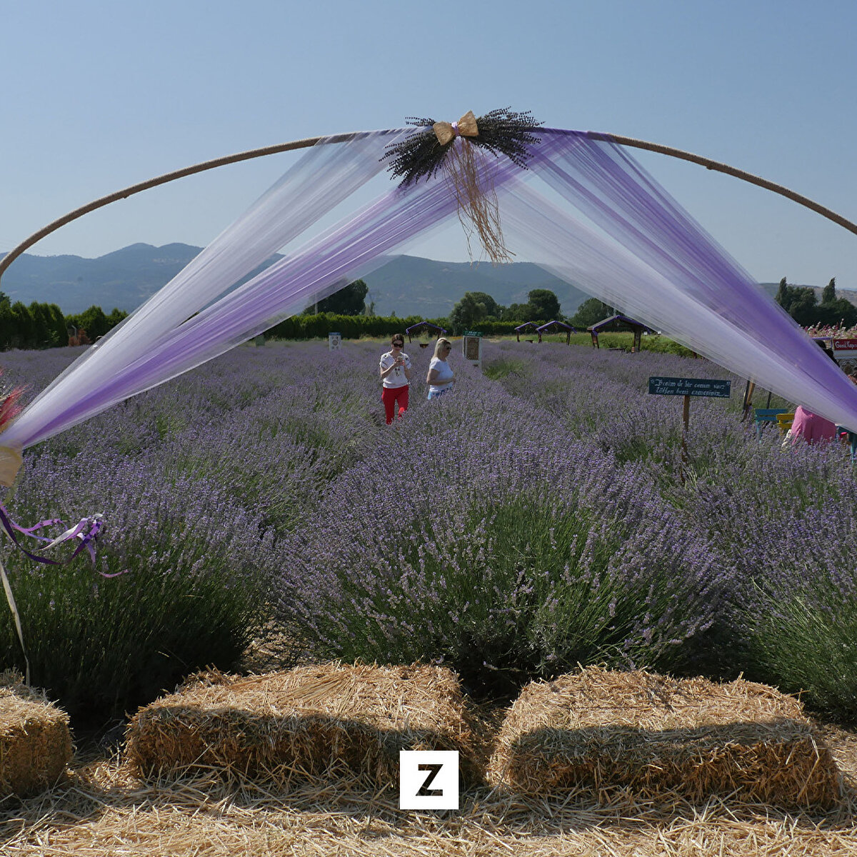 Büyükşehir Belediyesi Kırsal Hizmetler Dairesi Başkanlığının, Burhaniye ilçesinde bulunan Balıkesir Çiftçi Eğitim Merkezindeki (BAÇEM) tarlalarda, Yargıtay Onursal Birinci Başkanı Rüştü Cirit, Balıkesir Büyükşehir Belediye Başkanı Yücel Yılmaz, Burhaniye Kaymakamı İlyas Memiş, UCLG Mewa Genel Sekreteri Mehmet Duman ve vatandaşlar lavanta, ekinezya ve gül hatmi çiçeği hasadı yaptı.