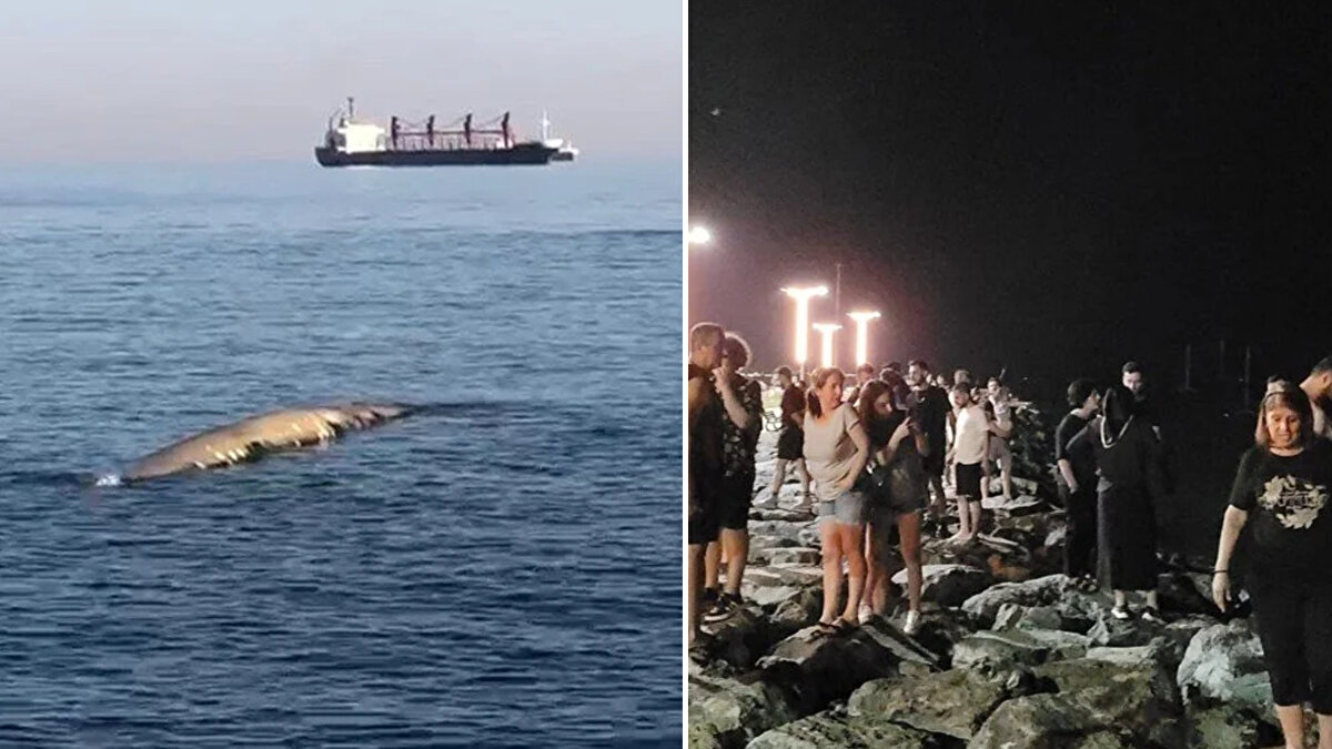 Hatay’ın İskenderun ilçesinde dün akşam “balina” heyecanı yaşandı.<br><br>