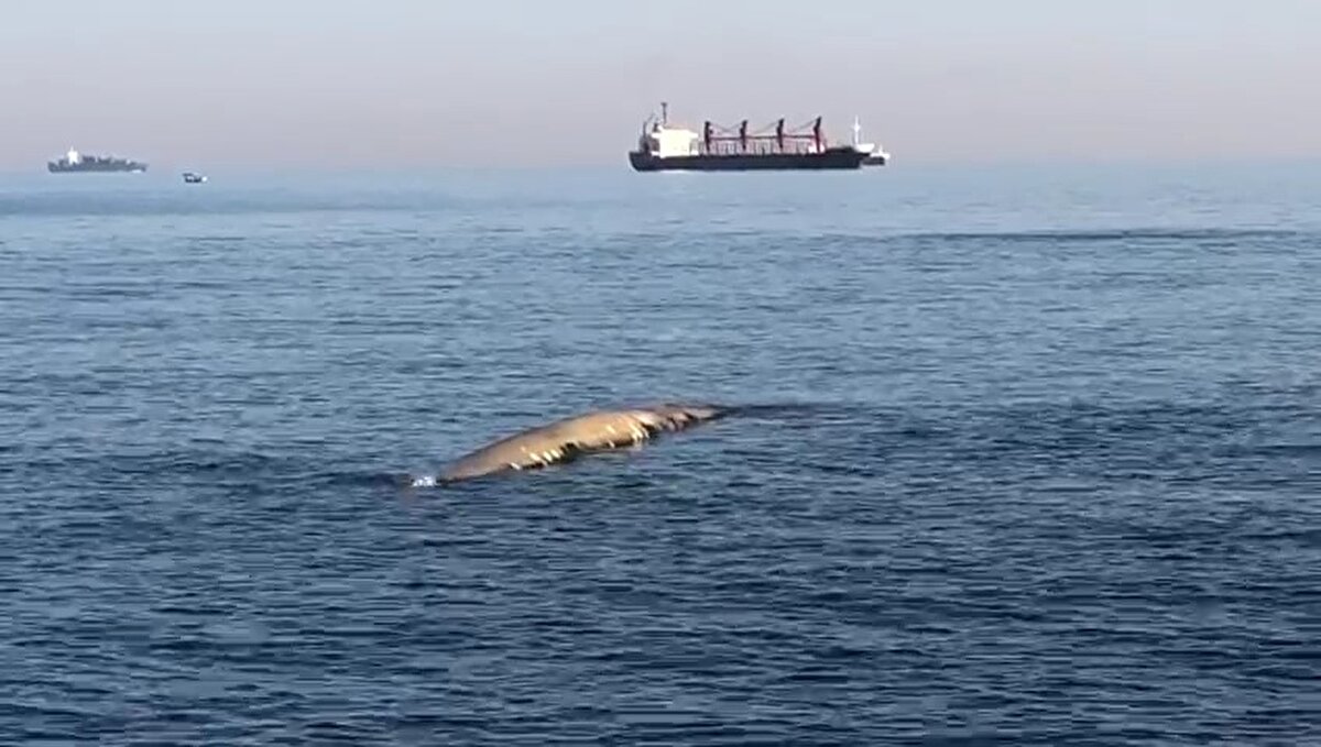 Bir süre sonra dalgalarla sahile sürüklenen 6-7 metre uzunluğundaki cismin boru olduğu ortaya çıktı.<br><br>