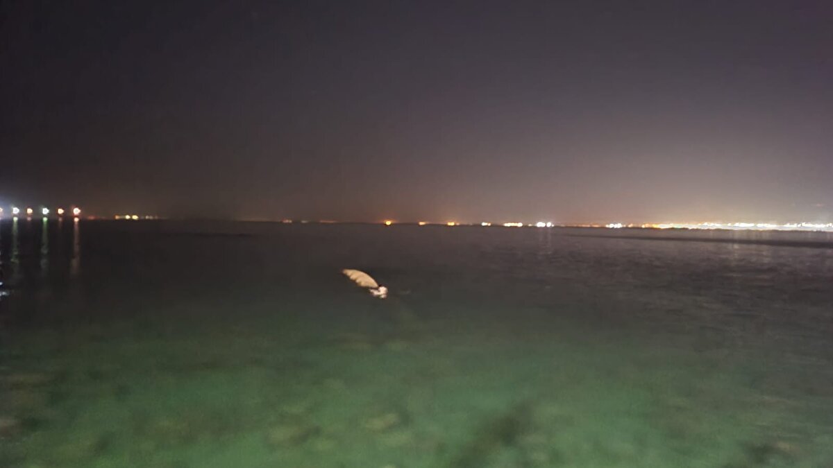 İskenderun'un sahil kesimindeki Meydan Mahallesi’nde yaşayanlar dün akşam deniz kıyısında bir cismi fark edince balina sandı.<br><br>Meraklı kişiler kısa sürede sahile akın edip, balina sandıkları batıp, çıkan cismi takip etti.