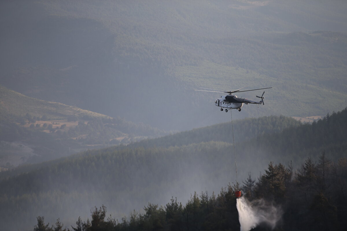 Bodrum Havalimanı'na giden kavşaktaki ormanlık alanda henüz belirlenemeyen nedenle yangın çıktı.<br><br>