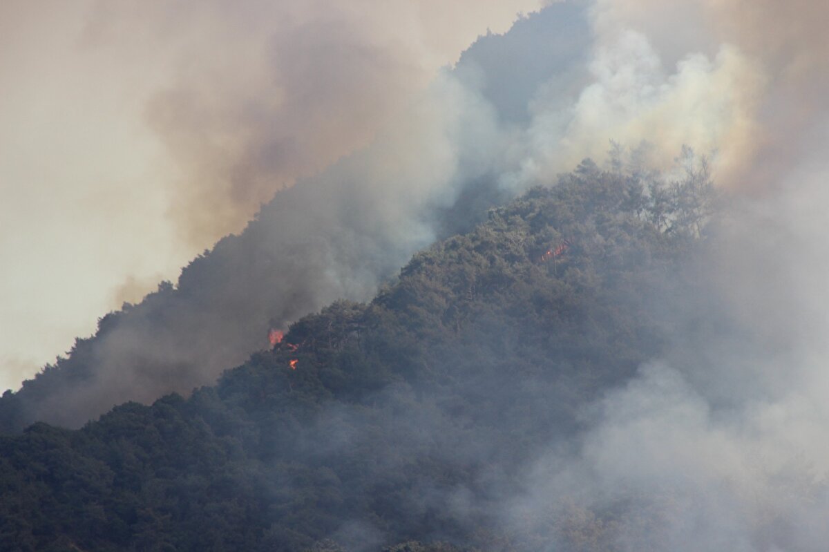 Yangının yol açtığı duman, yaklaşık 40 kilometre uzaklıktaki Antakya ilçesinde de gökyüzünü kapladı.<br><br>Hatay Valisi Mustafa Masatlı, "Soğukoluk mevkisinde çıkan orman yangınına havadan ve karadan ekiplerimiz müdahale ediyor, çevre illerden destek ekipleri de istedik. Mevkideki yerleşim yerlerindeki vatandaşlarımızı tahliye ettik." dedi.