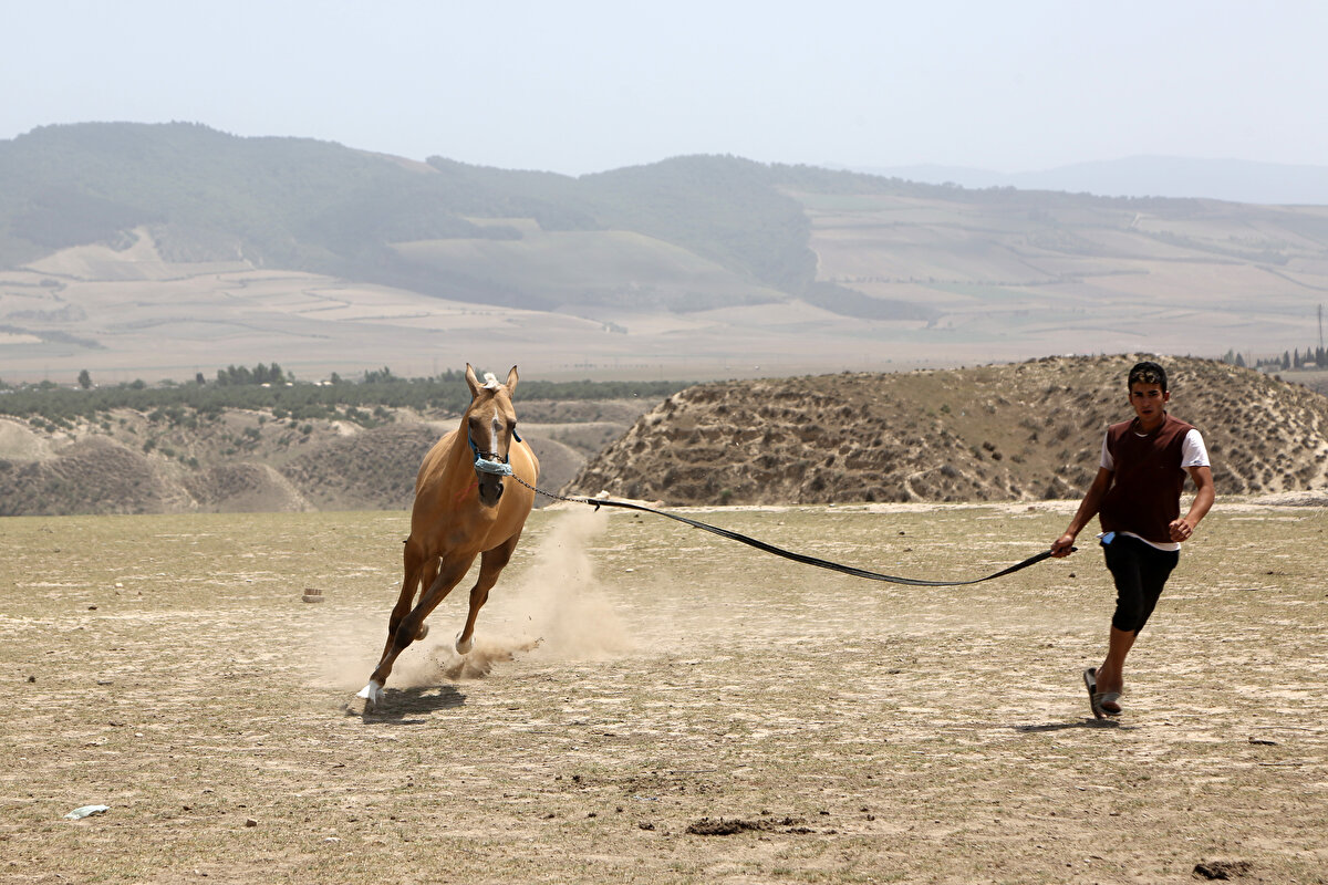 Bu yüzden, yarım asra yakın süre İran'da yaşayan ve Türkmen Sahra bölgesinde 2008 yılında hayatını kaybeden Firuz, ülkede büyük bir saygıyla anılıyor ve neredeyse her yetiştiricinin "Louise" adında en az bir atı bulunuyor.<br>