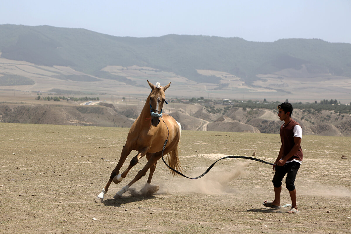 Çocukluğundan beri atlara merakı olduğunu belirten Nefespur, şehir hayatını bırakıp tamamen köye yerleştiğini, halihazırda 35'e yakın atla bir evde bulunması gereken tüm çiftlik hayvanlarını beslediğini ifade etti.<br>