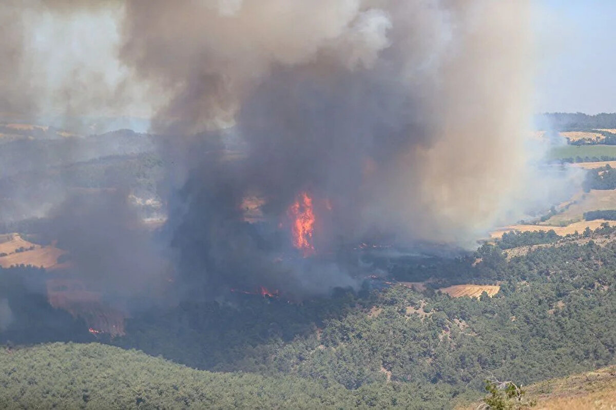 HATAY’DA SÖNDÜRME UÇAKLARI VE HELİKOPTERLER DEVREDE<br><br>Hatay'ın Belen ilçesinde dün başlayan orman yangınına ekiplerin müdahalesi devam ediyor.