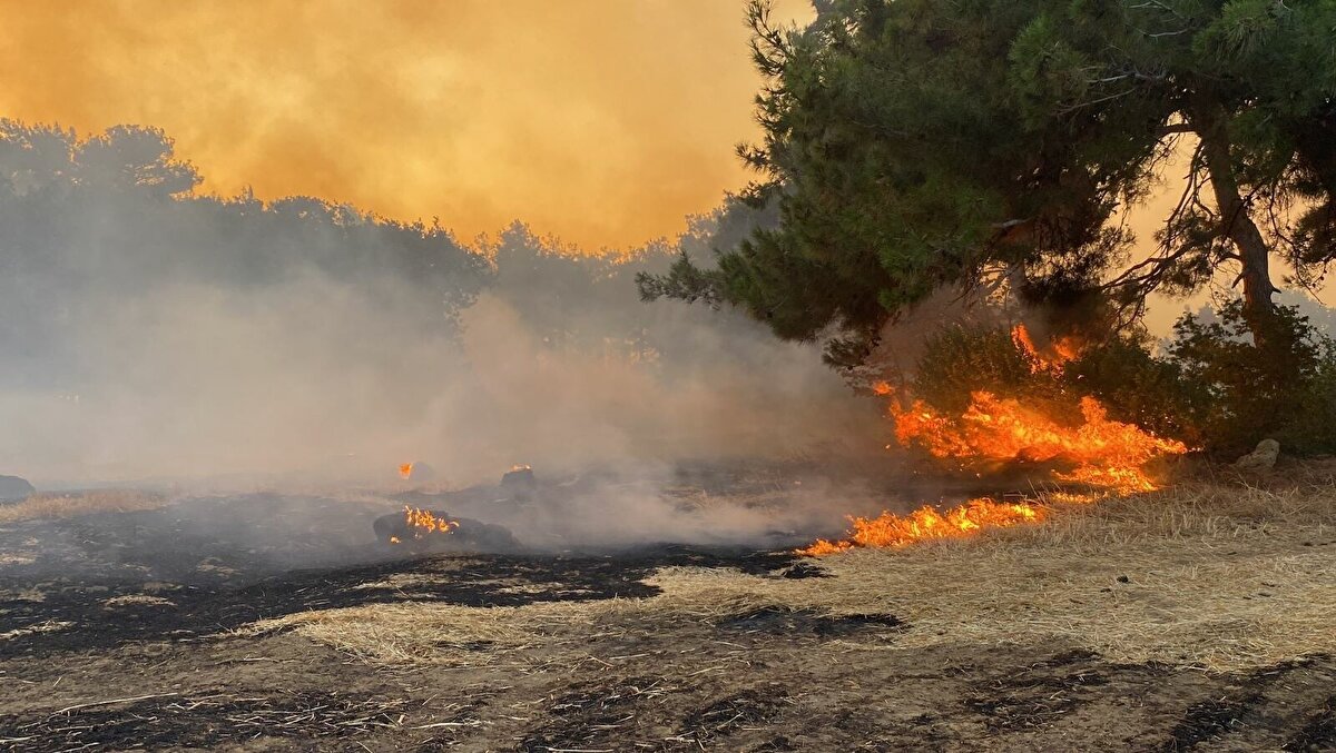 BAKAN YERLİKAYA: VALİLİK MÜRACAT EDEN TÜM VATANDAŞLARIMIZI MİSAFİR EDİYOR<br>Çanakkale'de yangının çıkış nedeninin araştırıldığını ifade eden İçişleri Bakanı Ali Yerlikaya, “Çanakkale Merkez Kızılkeçili Köyü'nde 16.27’de orman yangını başladı. Biz yine tedbir amaçlı Kemerköy mevkiindeki yaşayan vatandaşlarımızı tedbir amaçlı oradan boşalttık. Valilik müracaat eden tüm vatandaşlarımızı misafir ediyor yurdumuzda. Çanakkale ve Mersin Gülnar'da da yangına sebebiyet vermeyle ilgili neyse o konu jandarmamız, tıpkı burada başardı gibi orada da bunu aydınlatma noktasında titizlikle çalışıyor. Gelişmelerden yine kamuoyuna bilgi arz edeceğiz” ifadelerini kullandı.