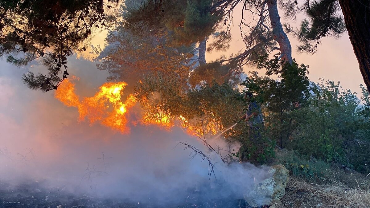 "YANGIN ŞİDDETİNİ KAYBETMİŞ OLMASINA RAĞMEN HALA DEVAM EDİYOR"<br>Yapılan incelemelerin ardından açıklamalarda bulunan Tarım ve Orman Bakanlığı Bakan Yardımcısı Veysel Tiryaki, “Çanakkale’de yangın bölgesindeyiz. Yangın saat 16.31 itibariyle başladı. 11 dakika sonra müdahale edilmiştir. Yangına 5 uçak, 7 helikopter ile müdahale edildi. Akşam saatlerinden sonra hava araçları maalesef müdahale edemedi. Şuana kadar önemli bir can kaybı anlamında bir zayiat veya büyükbaş, küçükbaş hayvan kaybı yok. Boşaltılan 1 köy var. Etkilenen köylerimiz var. 50’nin üzerinde arazöz, komşu il ve ilçelerden gelen itfaiye araçları, orman teşkilatının arazözleri, su tankerleri, iş makinalarıyla birlikte yoğun bir şekilde çalışma devam ediyor. 500’den fazla insan gücümüz var. AFAD ekipleri burada, UMKE'den arkadaşlarımız beraber yoğun bir çalışma içerisindeyiz. İnşallah en kısa sürede en az zayiatla bu yangını da atlatmayı hedefliyoruz" diye konuştu.