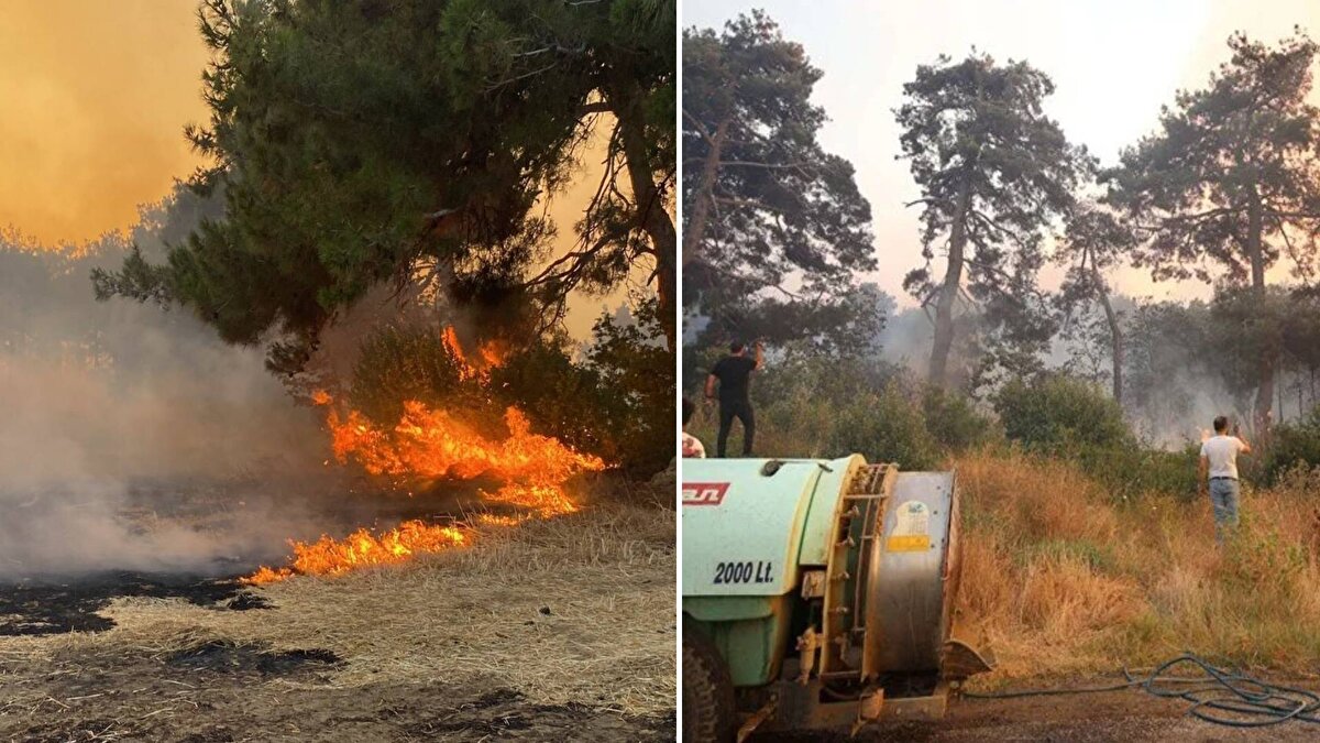 Yangın, saat 17.30 sıralarında merkeze bağlı Kızılkeçili köyüne yakın ormanlık alanda çıktı.