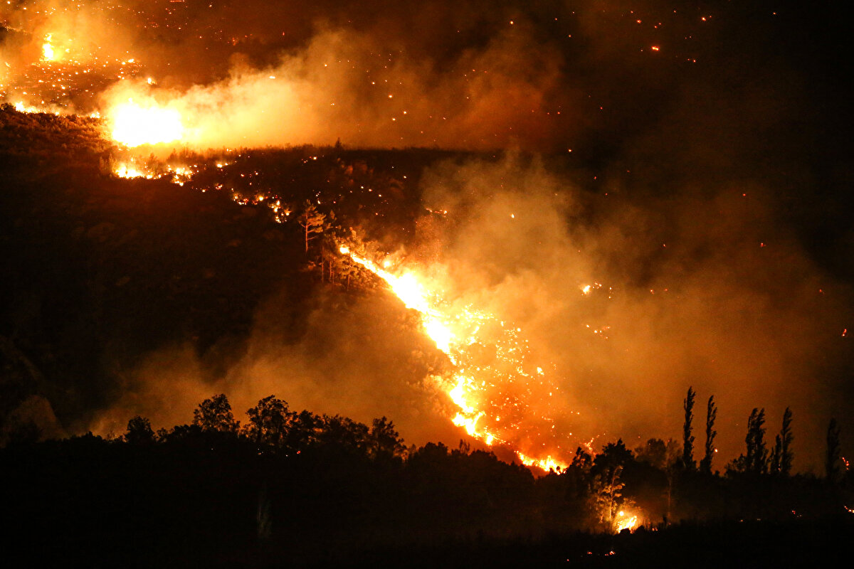 Dün, saat 18.00 sıralarında ilçeye bağlı Kavakoluğu Mahallesi'nde çıkan orman yangını, rüzgarın da etkisiyle hızla büyüdü.<br><br>