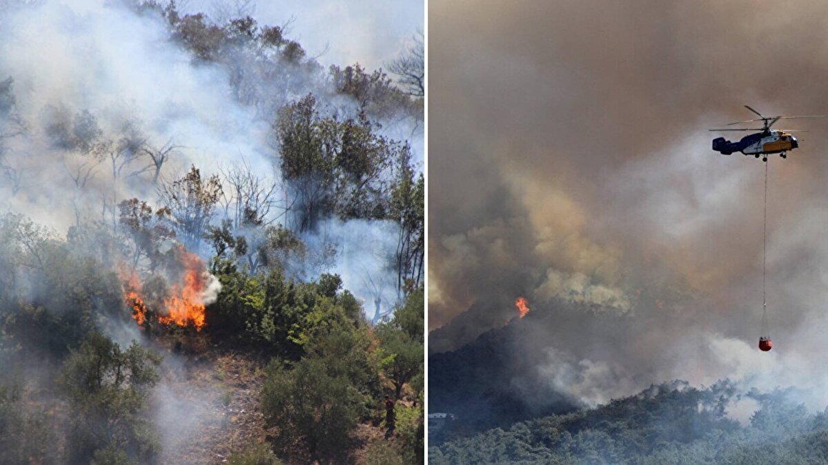 Türkiye orman yangınlarıyla mücadele ediyor. 3 gündür devam eden Hatay'ın Belen ilçesindeki orman yangını kontrol altına alındı. Tarım ve Orman Bakanı İbrahim Yumaklı güzel haberi duyurarak "Soğutma çalışmalar devam ediyor" dedi. Şimdi ise gözler Çanakkale'de 50 saate yakındır söndürülemeyen yangından gelecek güzel habere çevrilmiş durumda.