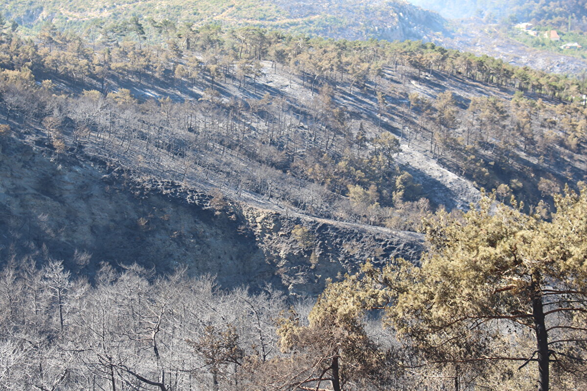 Hatay'ın Belen ilçesinde, iki gün önce çıkan ve büyük oranda kontrol altına alınan orman yangınında zarar gören alanlar görüntülendi. Soğukoluk Mahallesi'ndeki ormanlık alanda, 16 Temmuz'da çıkan yangın, ekiplerin havadan ve karadan müdahalesiyle büyük oranda kontrol altına alındı. Orman yangınında zarar gören alanlar ile devam eden soğutma çalışmaları görüntülendi.<br><br>